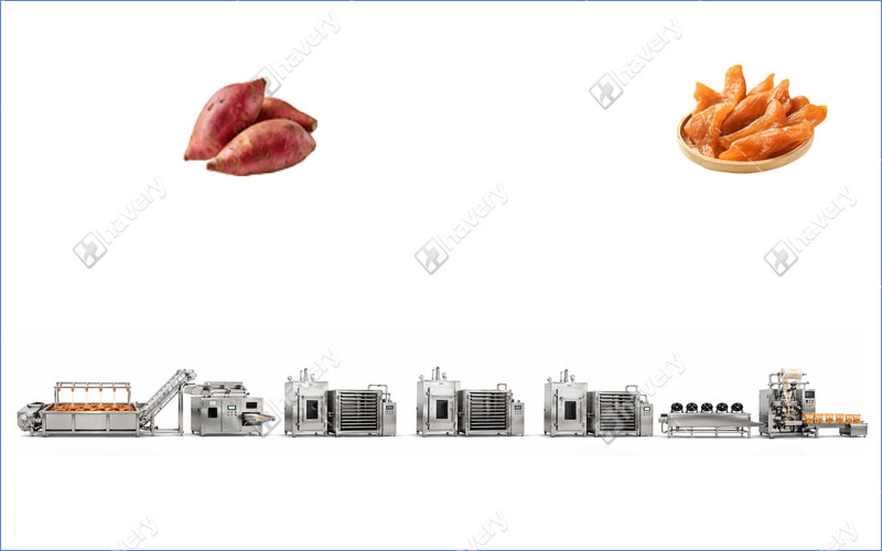 Soft Chewy Dried Sweet Potato processing line